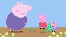 Peppa Pig nova temporada vários episódios Português brasil hd peppa desenho dublado comple