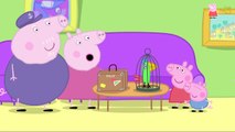 Peppa Pig Em Português Brasil Parte 66 │ Desenhos Animados Em Portugues Brasil Completo