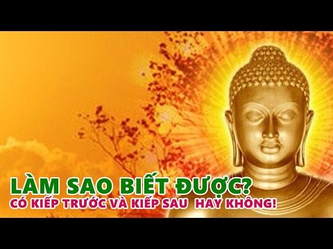Kể Truyện Đêm Khuya : Làm Sao Biết Được Có Kiếp Trước Và Kiếp Sau - Rất hay (Những Lời Phật Dạy)