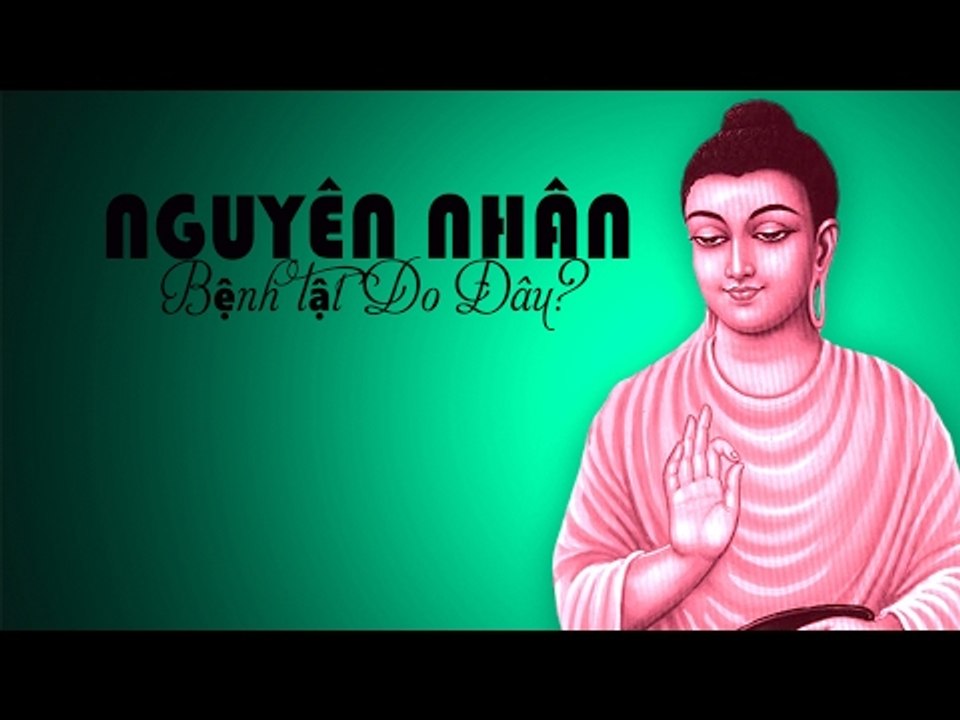 Kể Truyện Đêm Khuya: Nguyên Nhân Của Bệnh Tật Do Đâu nên nghe