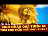 Những Lời Phật Dạy: Kinh Nhân Quả Thiện Ác Theo Tinh Thần Phật Học Phần 3