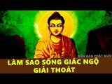 Những Lời Phật Dạy - Giác Ngộ Trong Cuộc Sống - Giúp Tâm An Lạc Thoát Mọi Khổ Đau