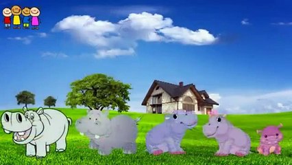 Baby Song   Mango-Tomato Finger Family Song for Toddlerfg