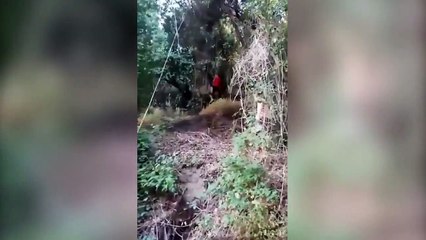 Best Fails of February - Week 3 2017 _ Fun