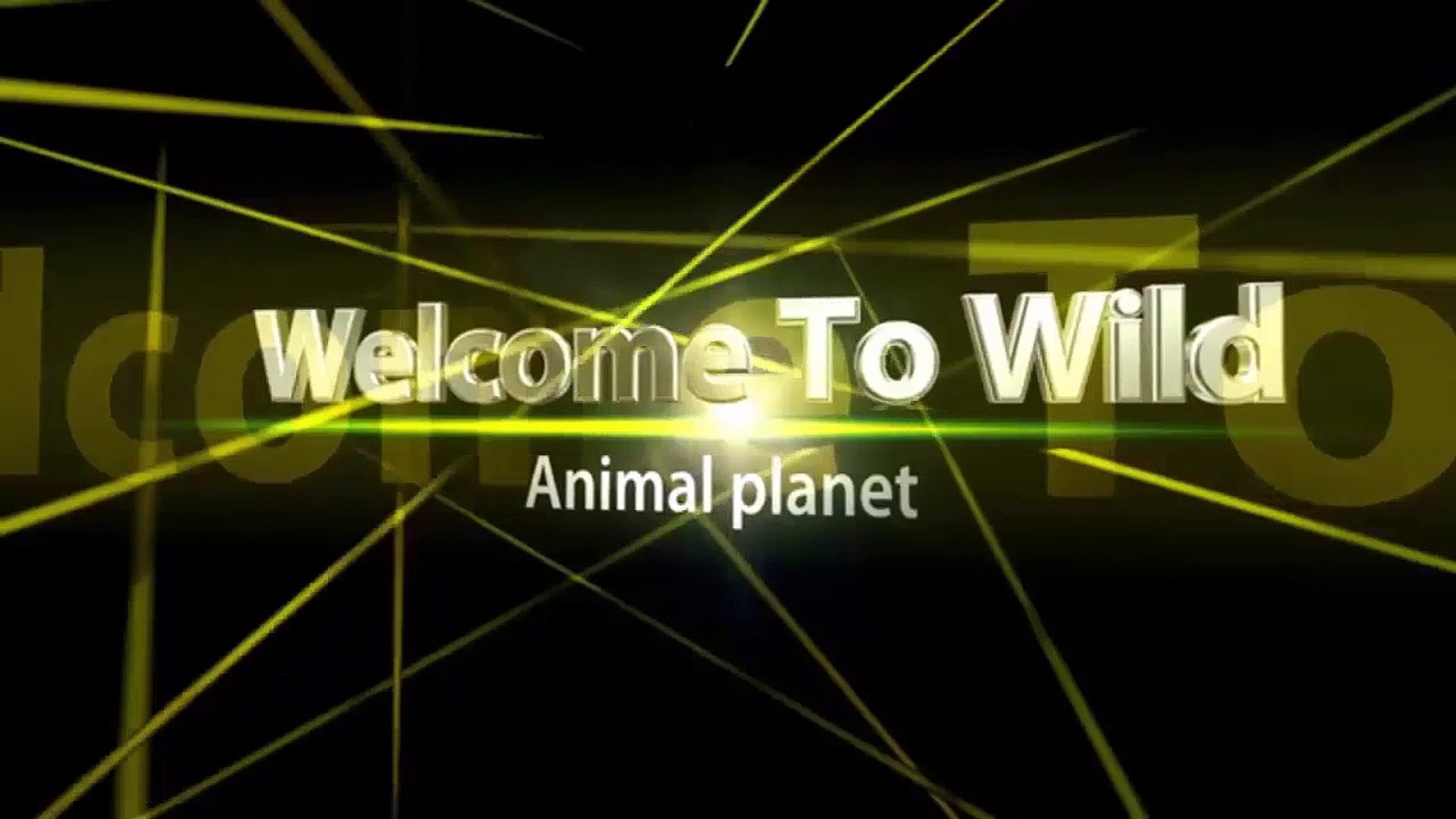 ⁣Animals - By the way, animals help animals before death