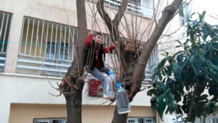 Küçük Çocuk Her Gün Tehlikeyi Göze Alıp Kuşları Doyuruyor