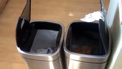Dad laughing at talking robot bins