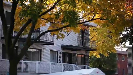 Crime Documentary - The Shafia family story