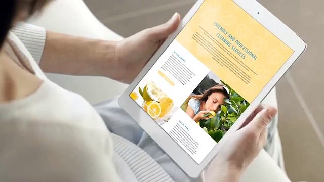 Domestic and Commercial Cleaning Services