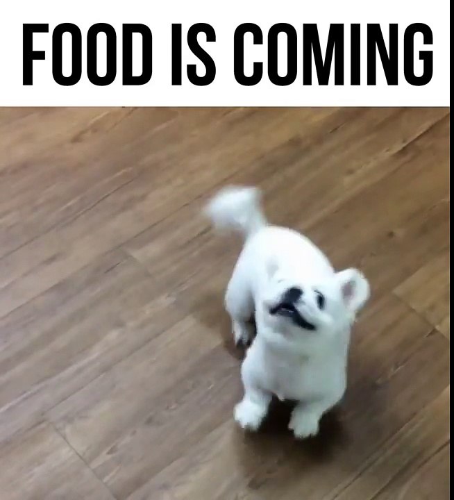 Food Is Coming