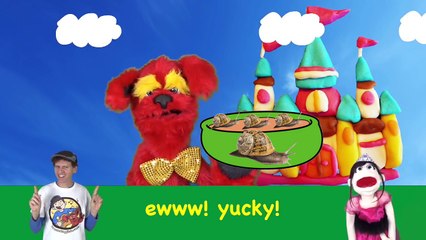 Colors Action Song With Matt | Learn 7 Colors | Learn English Kids