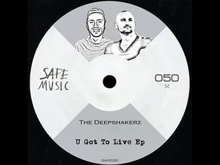 The Deepshakerz - U Got To Live (Original remix)