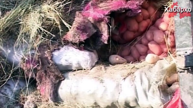 Таджикистан в очередной раз попал в списки беднейших стран