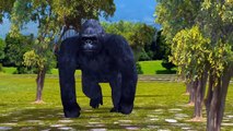 3D animated Colors Gorilla Finger family - Animals Dinosaur Daddy Finger family Rhymes for