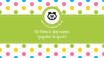 50 female dog names popular in Spain - www.namesoftheworld.net