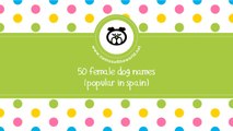 50 female dog names popular in Spain - www.namesoftheworld.net