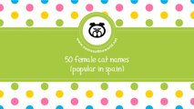 50 female cat names popular in Spain - www.namesoftheworld.net