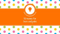 50 names for bars and pubs - the best names for your company - www.namesoftheworld.net