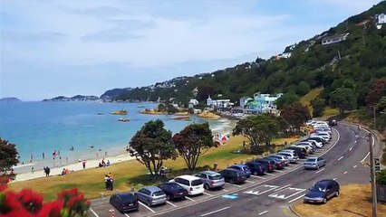 Wellington, la capitale de la Nouvelle-Zélande, recrute et offre le séjour aux postulants