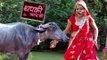 Thapki Gets Scared Of A Buffalo | Thapki Pyar Ki | थपकी प्यार की | TellyMasala