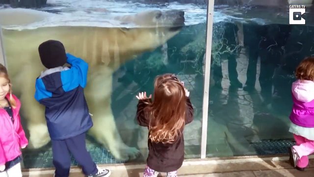 Kids at the Zoo Animals at the Zoo Learn Safari Wild ZOO Animals Names - Handplaytv Learn
