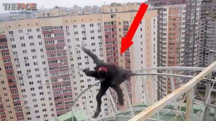 Best Fails ツ Deadly Parkour Fails ツ The Face