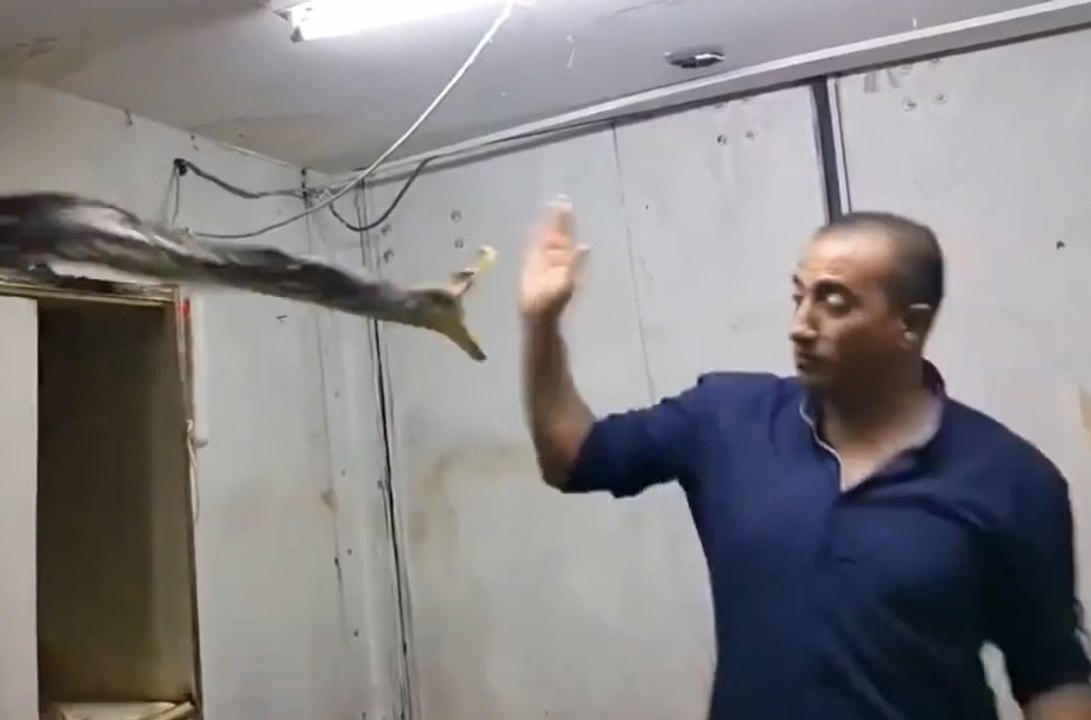 Régis veut attraper un serpent très agressif !!!