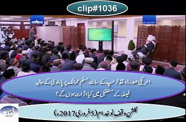 ڈونلڈ ٹرمپ کے مسلم ممالک پر پابندی کے حالیہ فیصلہ کے مستقبل میں کیااثرات ہوں گے؟11