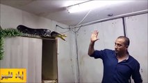 Cet homme tente d’attraper un serpent à mains nues