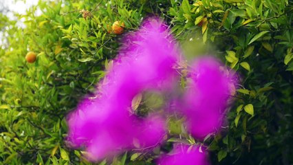 YEKTA QUEEN - THE LUXURY RESIDENCES WITH OPEN SEA VIEW IN ALANYA