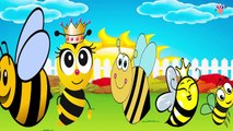 Bee Finger Family | Nursery Rhymes | Kids Songs | Baby Rhymes
