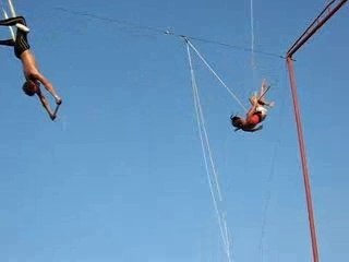 Une future rumbéros