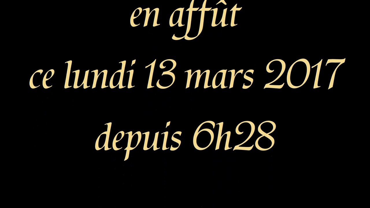 Lever de soleil sur la plaine