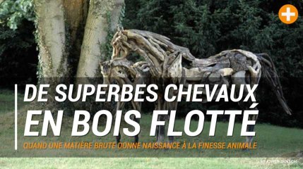 Sculpture : les superbes chevaux en bois flotté d'Heather Jansch