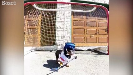 Dünyanın en sevimli hokey oyuncusu!