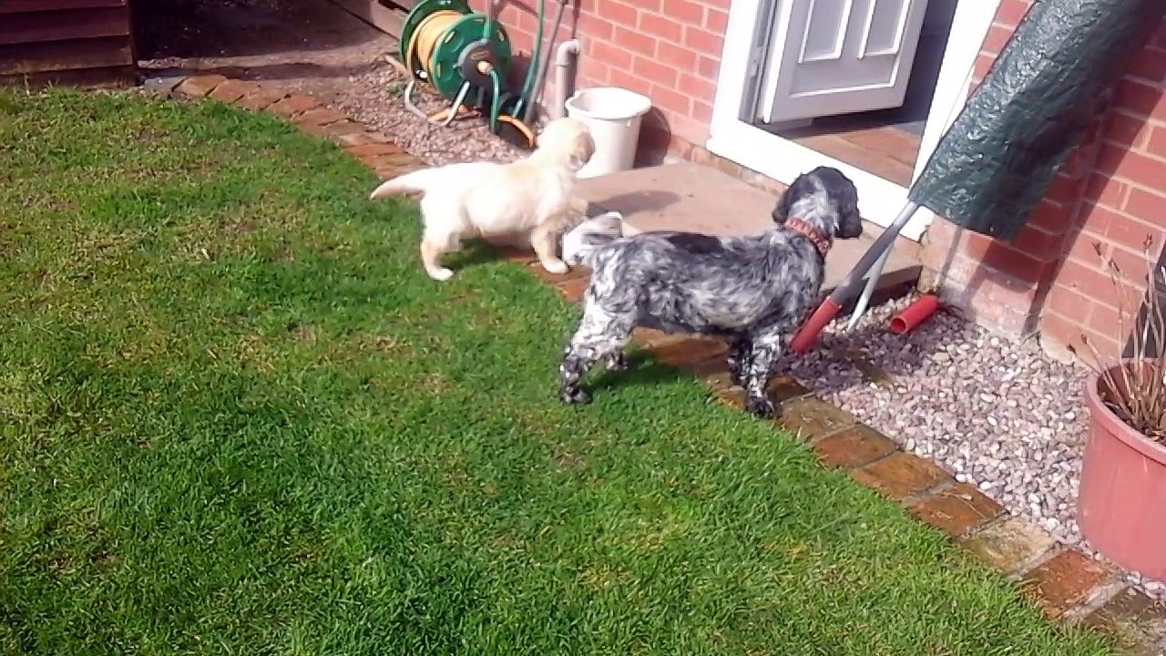 Ozzy and Jess