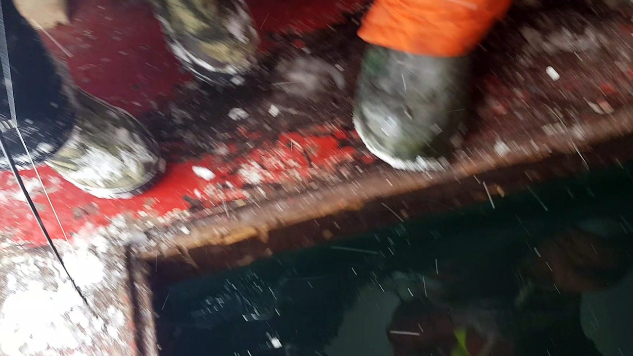 Big Fish Small Rod