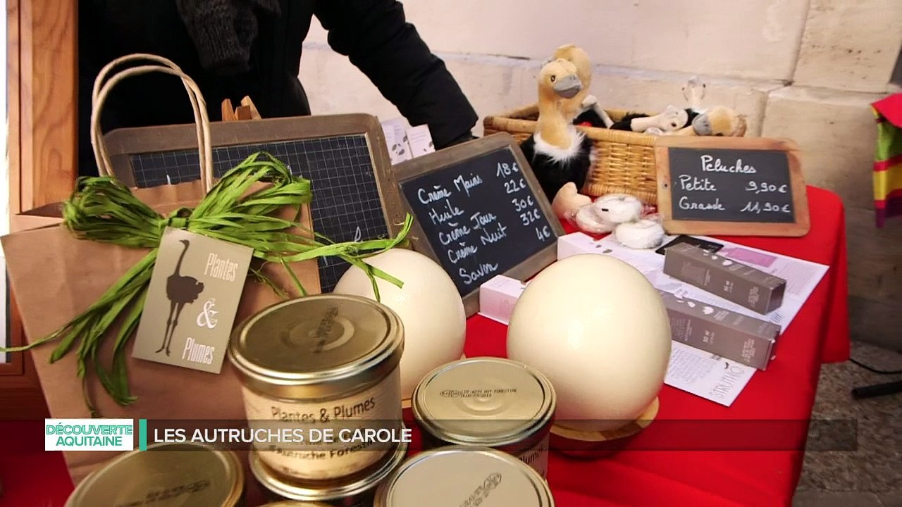 Découverte Aquitaine - à la découverte des Autruches en Nouvelle Aquitaine