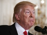 Trump calls MSNBC Rachel Maddow tax return leak 'fake news'