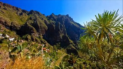 Paragliding in Tenerife by Skyparafly