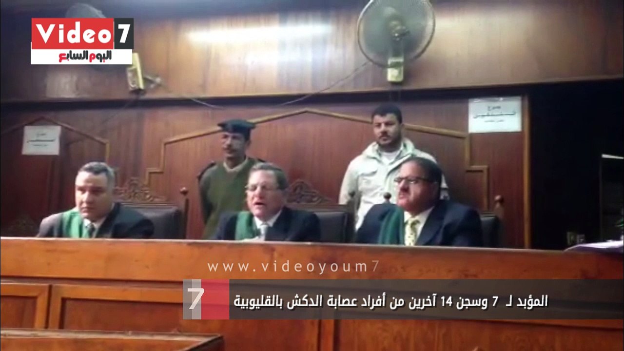 المؤبد لـ  7 وسجن 14 آخرين من أفراد عصابة الدكش بالقليوبية
