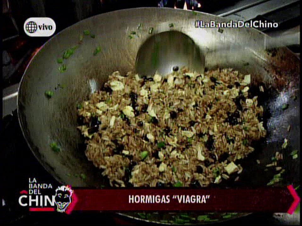 Nota - Hormigas Viagra