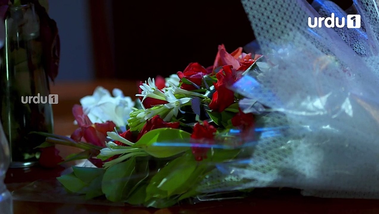 Shehrnaz Episode 20