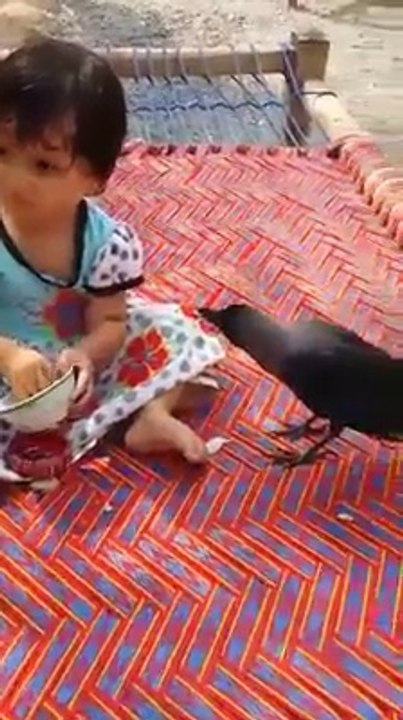 watch what baby is doning