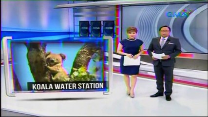 Saksi March 15, 2017 P5