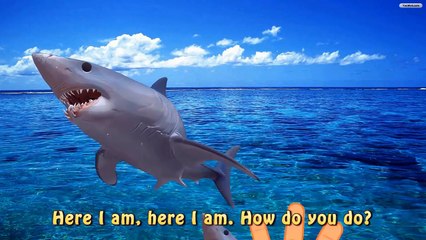 Sea Animal Finger Family Nursery Rhyme | Learn Sea Animals Names and Sounds For Kids in En