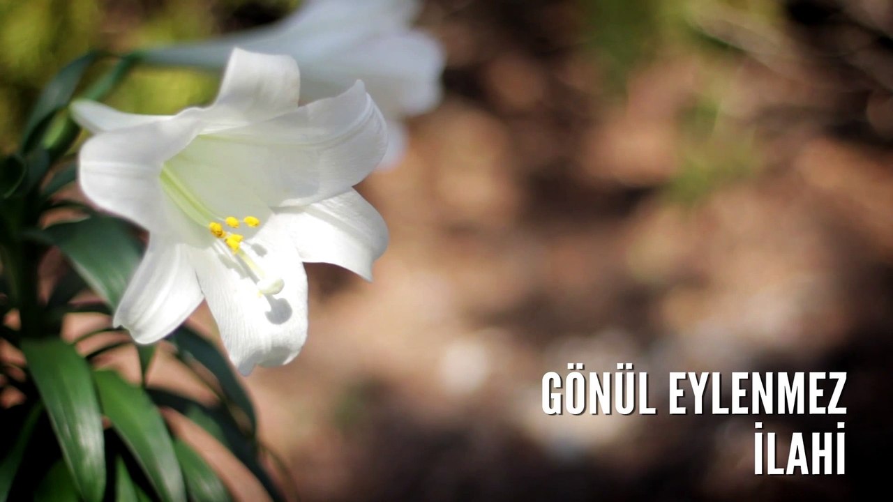 Müziksiz İlahiler - Gönül Eylenmez