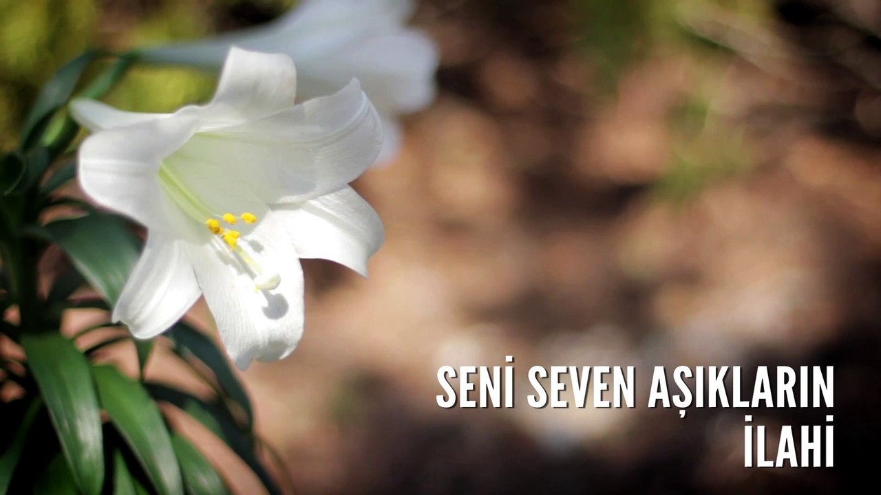 Müziksiz İlahiler - Seni Seven Aşıkların