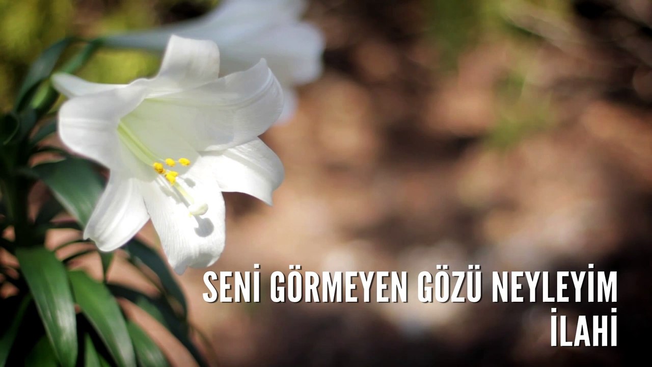 Müziksiz İlahiler - Seni Görmeyen Gözü Neyleyim