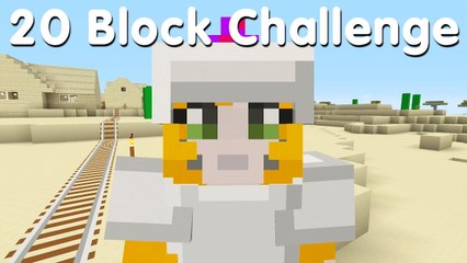 Minecraft PS4 - 20 Block Challenge - Iron Belly (6)